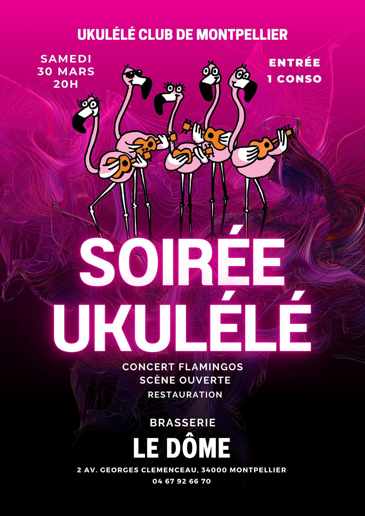 Soirée Flamingos – Le dôme – 34